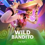 Wild Bandito